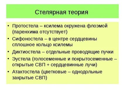 Отдельно организованный