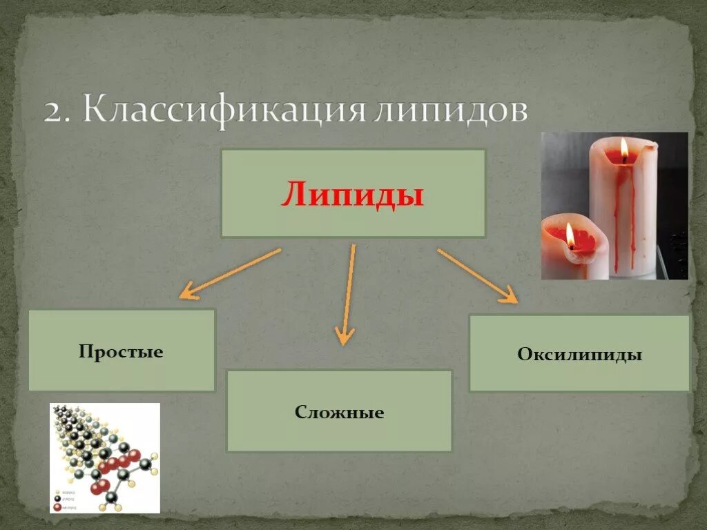 Липиды лекарства. Схема строения молекулы фосфатидной кислоты и ее биологическая роль. Понятие липиды. Липиды лекарства. Неомыляемые вещества.