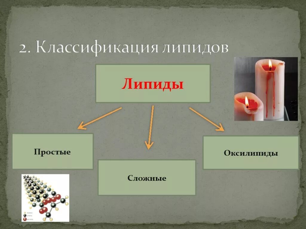 Углеводы липиды строение. Сложные липиды. Оксилипиды. Классификация и свойства углеводов и липидов. Простые липиды и сложные липиды.