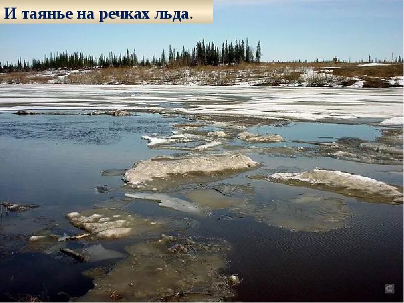 Растает снег растает лед. Таяние льда на реке. лед на реке. лед на реке весной. весенний лед на реке.