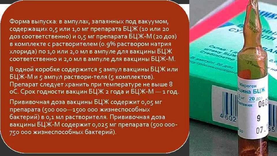 Вакцина БЦЖ форма выпуска. Дозировка вакцины БЦЖ. Ампула вакцины БЦЖ. Ампула открытая сколько хранить