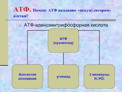 Атф и другие