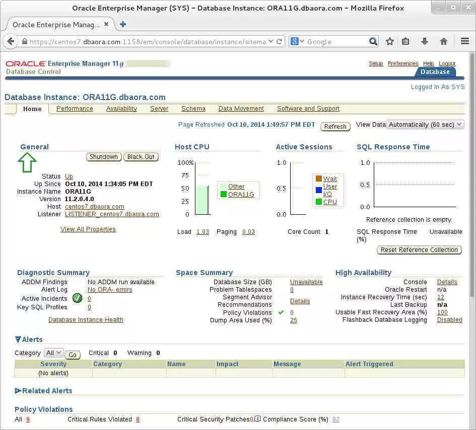 Oracle url. Oracle enterprise manager. oracle 11g.