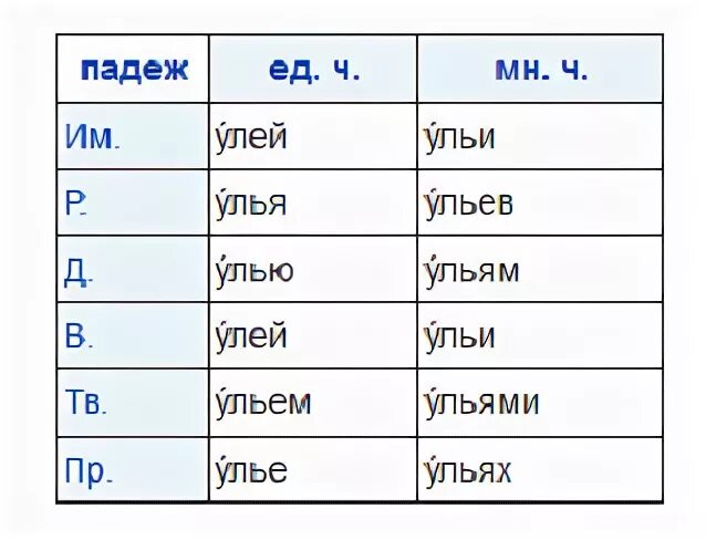 Улей просклонять по падежам. Улей просклонять. Ульи склонение. Улей склонение по падежам. Просклонять слово пчела