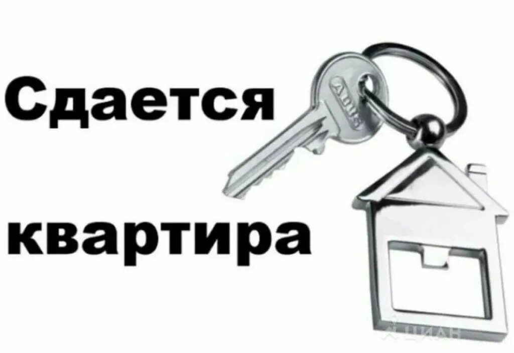 Сдается квартира. Сдам жилье. Сдам квартиру надпись. Объявление сниму квартиру. Объявление сдам квартиру образец.