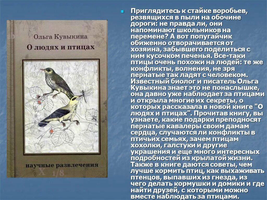 День птиц. Международный день птиц. День птиц презентация. Слайд день птиц. День птиц статья в детском саду