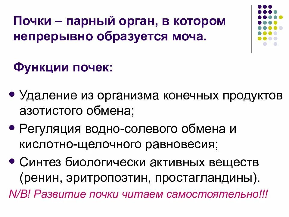 Органы в которых образуется моча. Почки синтезируют биологически активные вещества. Функции почек 9 класс. 3 парных органах