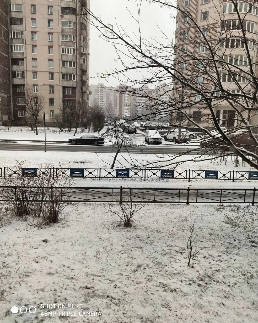 Циклон зимой. Спб выпал снег. Спб выпал снег. Снег сейчас в санкт пете. Снегопад в санкт-петербурге.