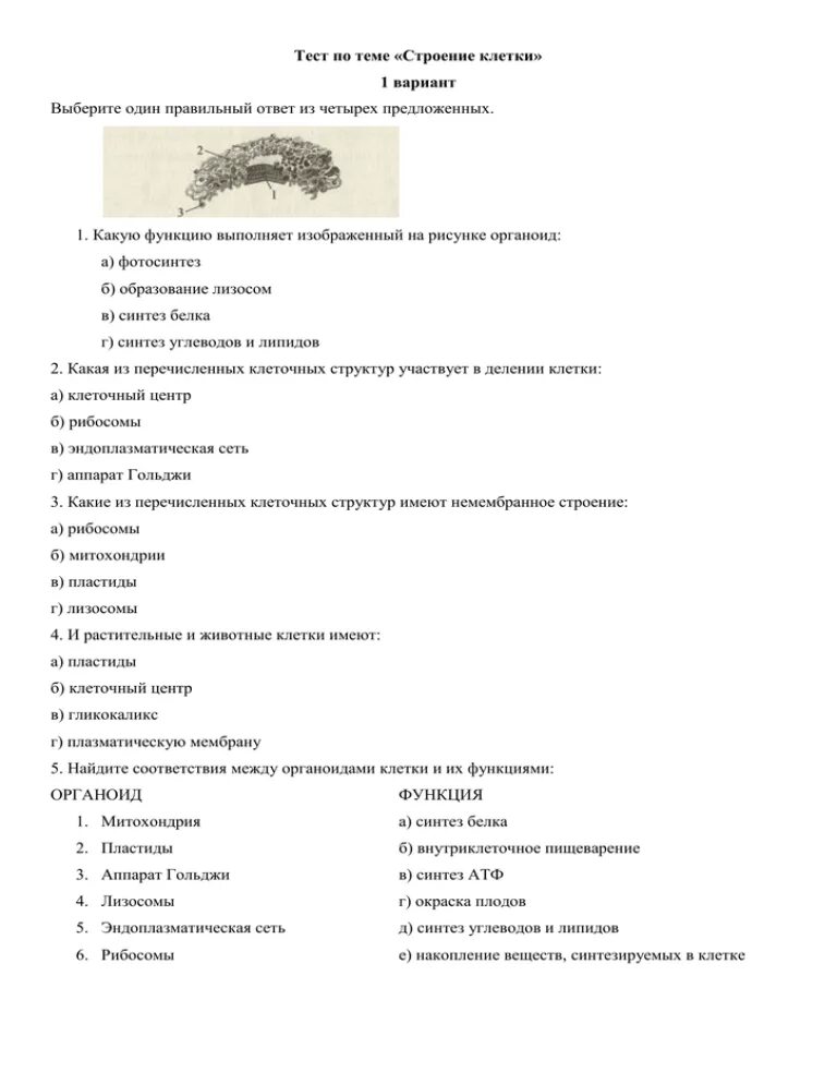 Контрольная работа по биологии строение клетки. Тесты по биологии биология строение клетки. Тест по биологии строение клеток. Тесты с ответами строение клетки тест по биологии 5 класс. Тест по теме функции ответы