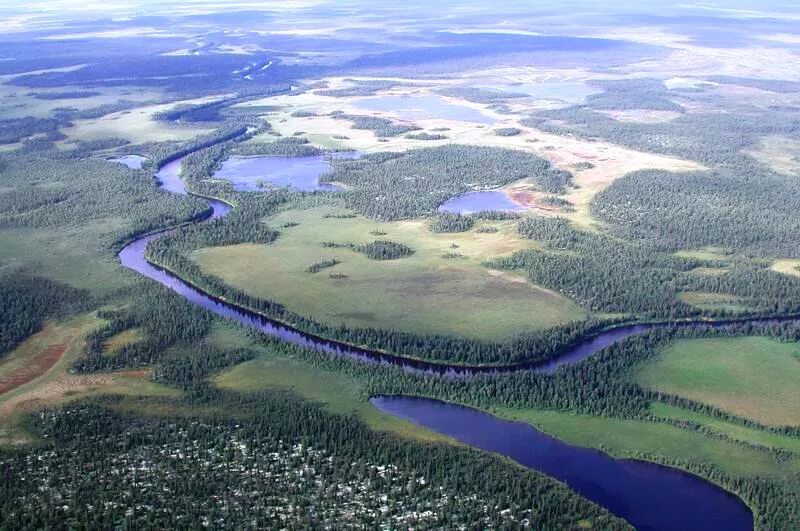 Река паной Кольский полуостров. Кольский полуостров река Поной. Устье реки Поной.