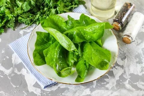 Шпинат рецепты фото пошагово