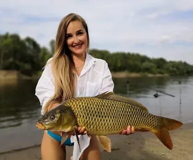 Карп пенза