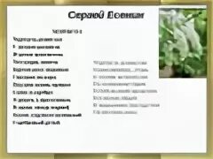 Стих про черемуху. Стихи Сергея Есенина о весне. Стихи о весне Есенин 3 класс.