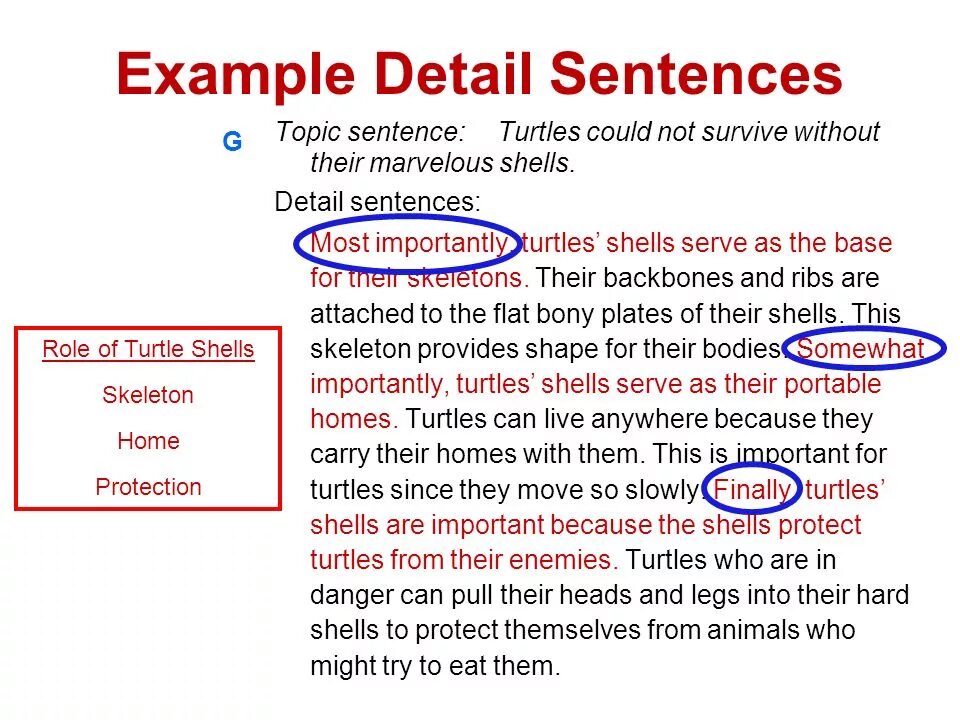 Topic sentence supporting sentences. Как писать topic sentences. Supporting sentences. Topic and detail sentences. Topic and supporting sentences.