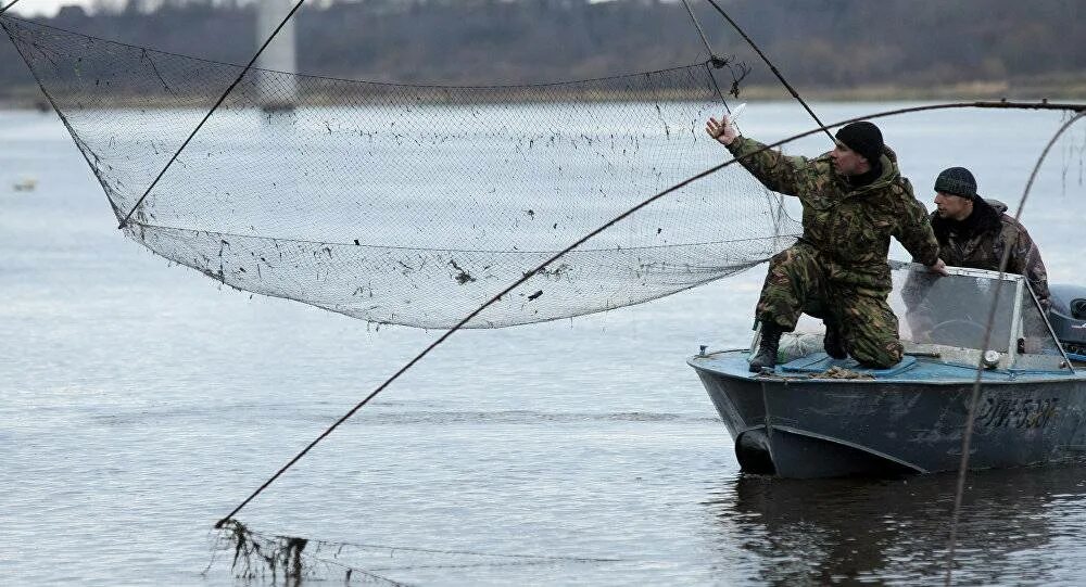 Кривда рыболовная купить. Рыболовная Крыга. Крыга браконьерская снасть. Кривда снасть. Кривда рыболовная.