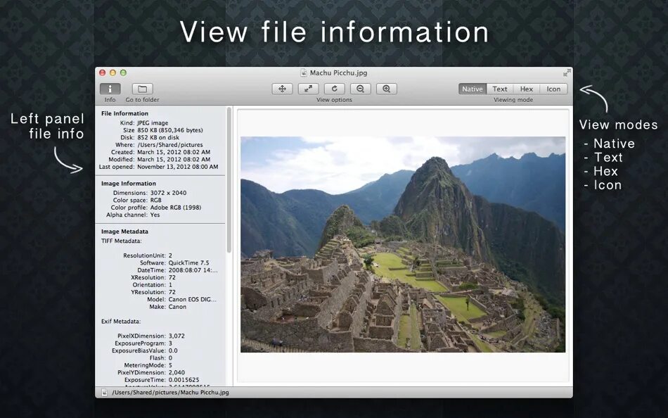 View metadata