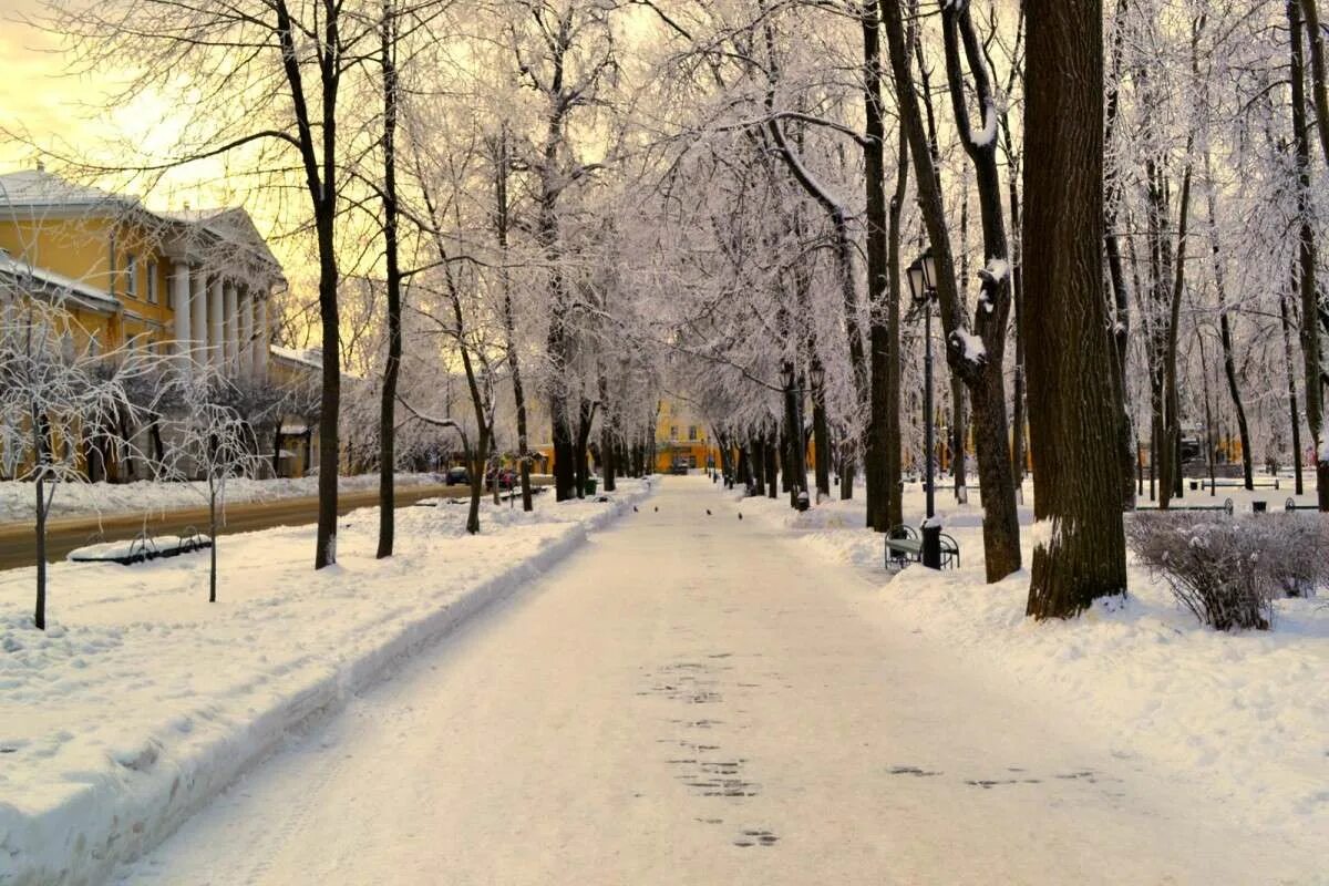 Куда сходить в смоленске зимой. Лопатинский сад смоленск зима. Каток на пл. Каток на пл. Смоленск лопатинский сад каток.