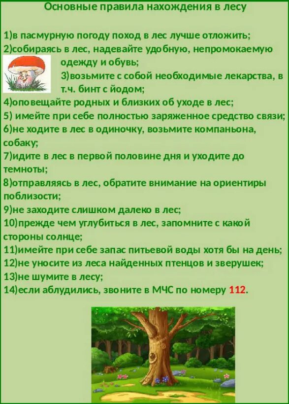Правила поведения прогулки в лесу. Памятка в лесу. безопасность поведения в лесу. правило безопасного поведения в лесу. правила безопасного поведения в лесу.