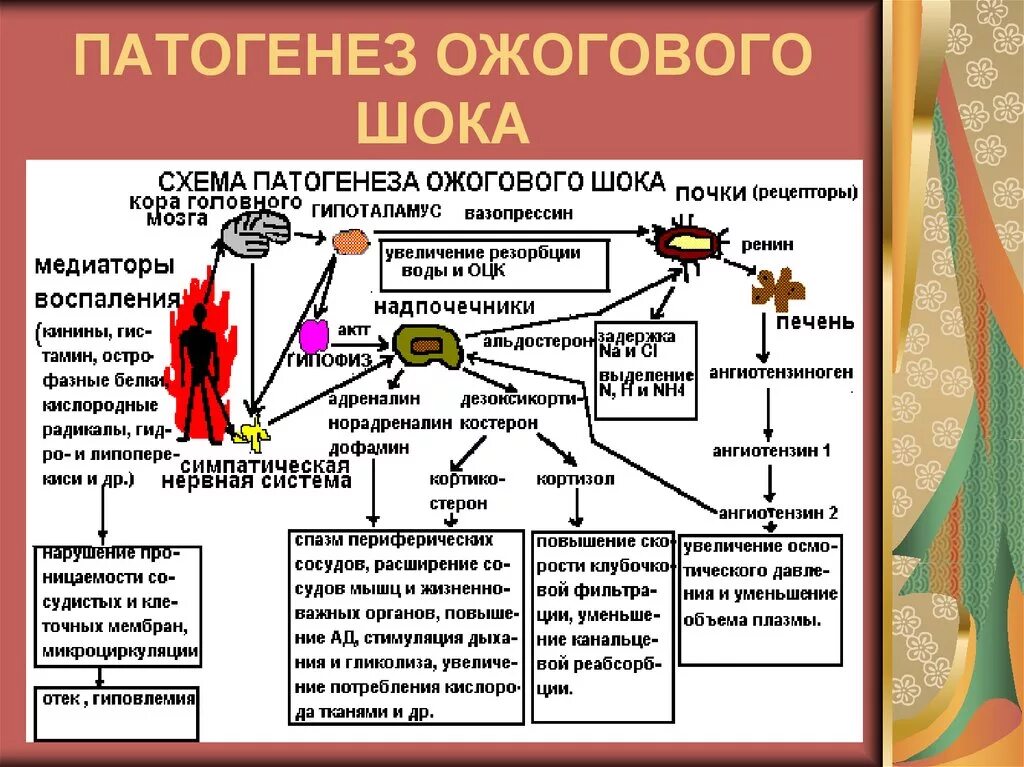 Степени шока при ожогах. Схема патогенеза ожоговой болезни. Основной механизм развития ожогового шока. Схема патогенеза ожоговой болезни патофизиология. Патогенез ожогового шока схема.