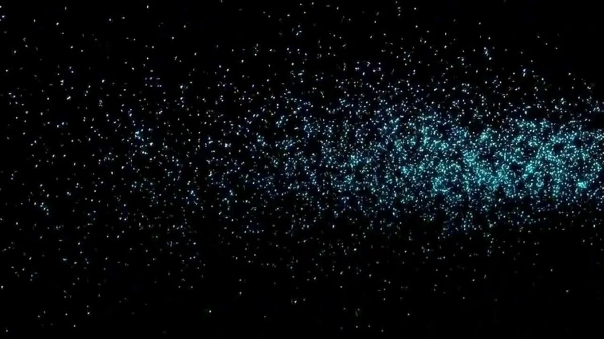 Белые партиклы. Партиклы на черном фоне. Эффекты для превью. Партиклы для фотошопа. Trapcode particular портрет.