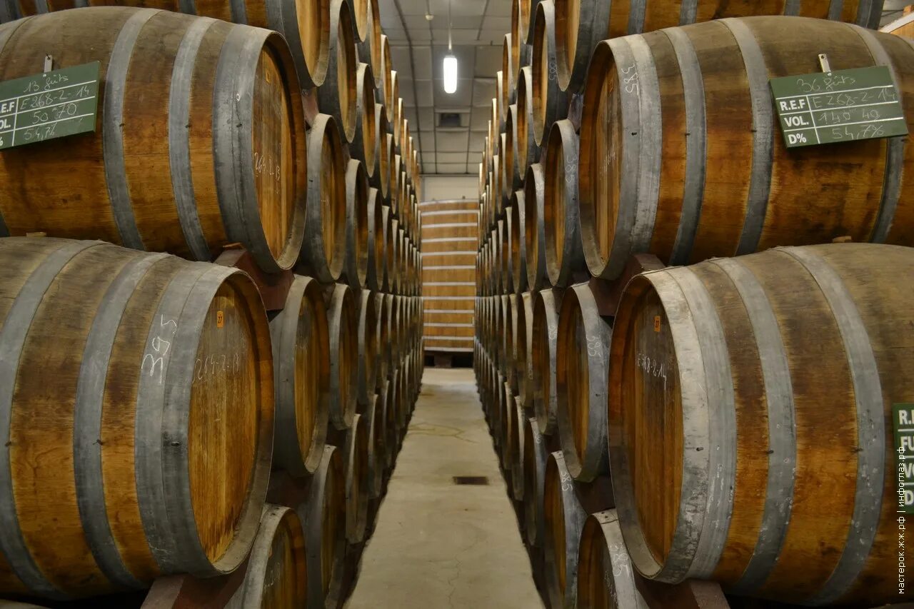огромные бочки. арманьяк производство. сырье для кальвадоса 4. технология производства кальвадоса. бочки с кальвадосом.