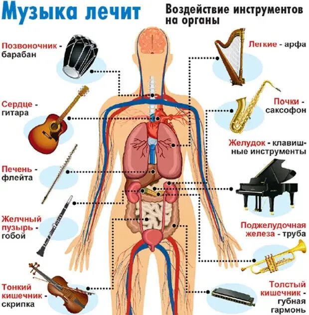 Звук организма слушать. Орган с человеком музыкальный инструмент. Влияние музыкальных инструментов на органы. Музыкальные инструменты влияющие на органы человека. Влияние музыки на органы.