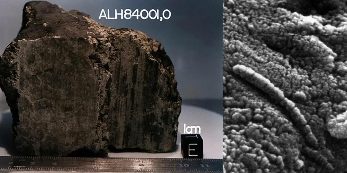 Каждый метеорит повреждает 2 из 4 ферм. Метеорит аллан хиллз 84001. alh 84001. allan hills 84001. метеорит с марса 1984.