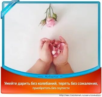 Подарил без