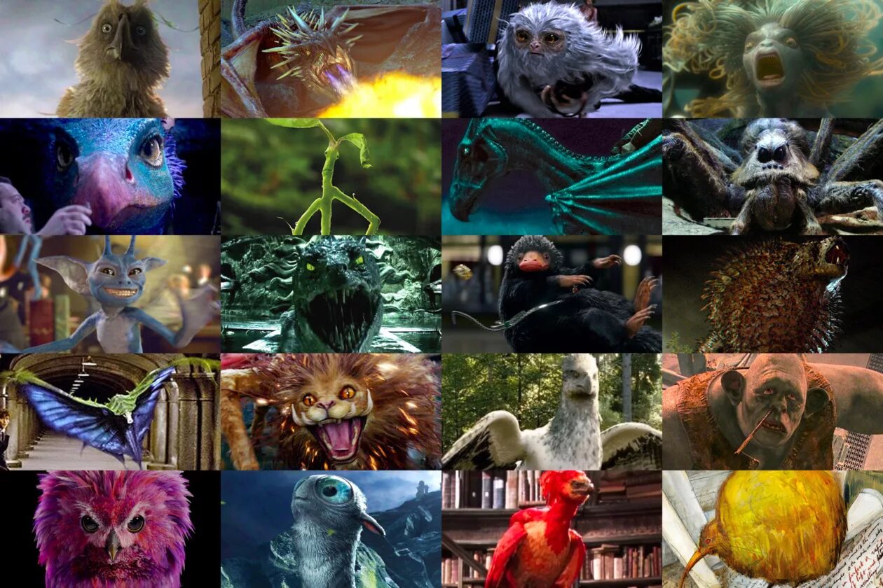 Creatures of the wizarding world. Creatures of the wizarding world