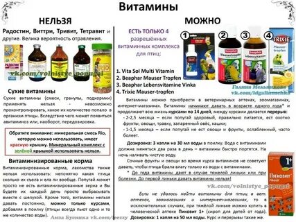 Что можно давать в скорость