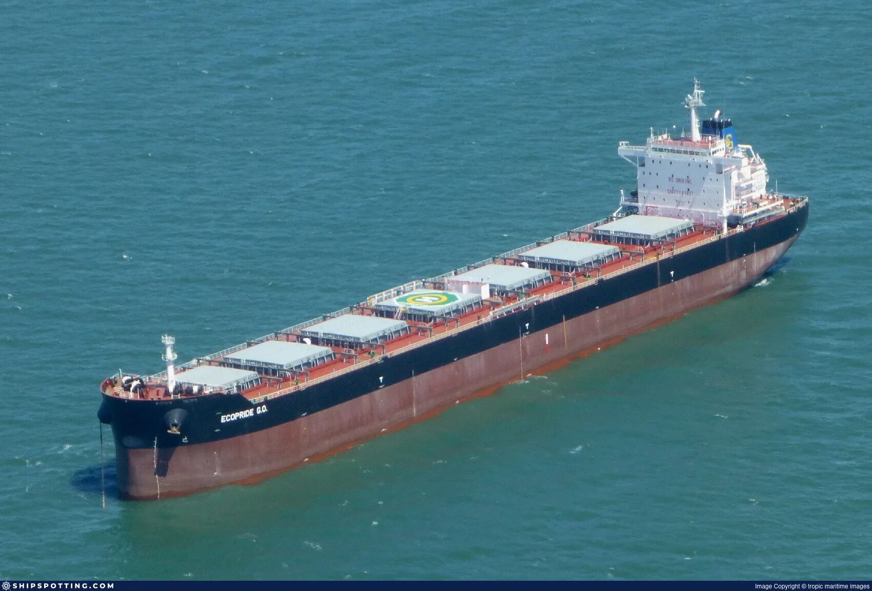 Bulk Carrier Vessel [Panamax]. Bulk Carrier судно. Artemis балкер Ласкаридис. Судно типа балкер.