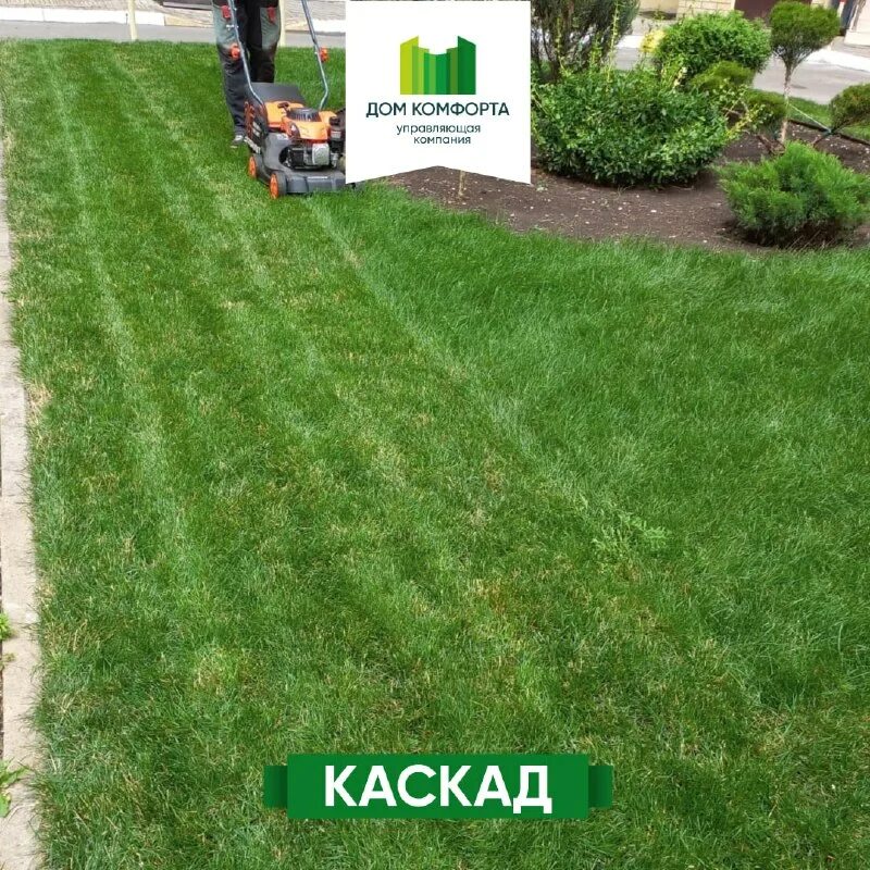 управляющая компания дом комфорта