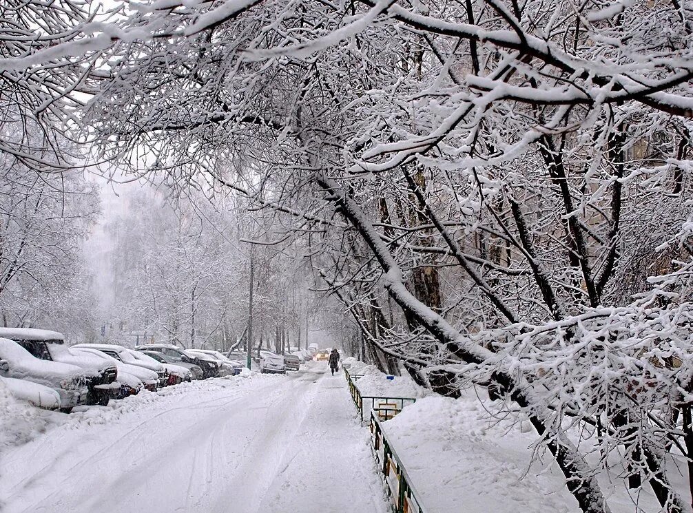 Снегопад картинки. Комья мокрого снега это. Снежные кристаллы. Снежинки на льду. Fir tree when it snows.