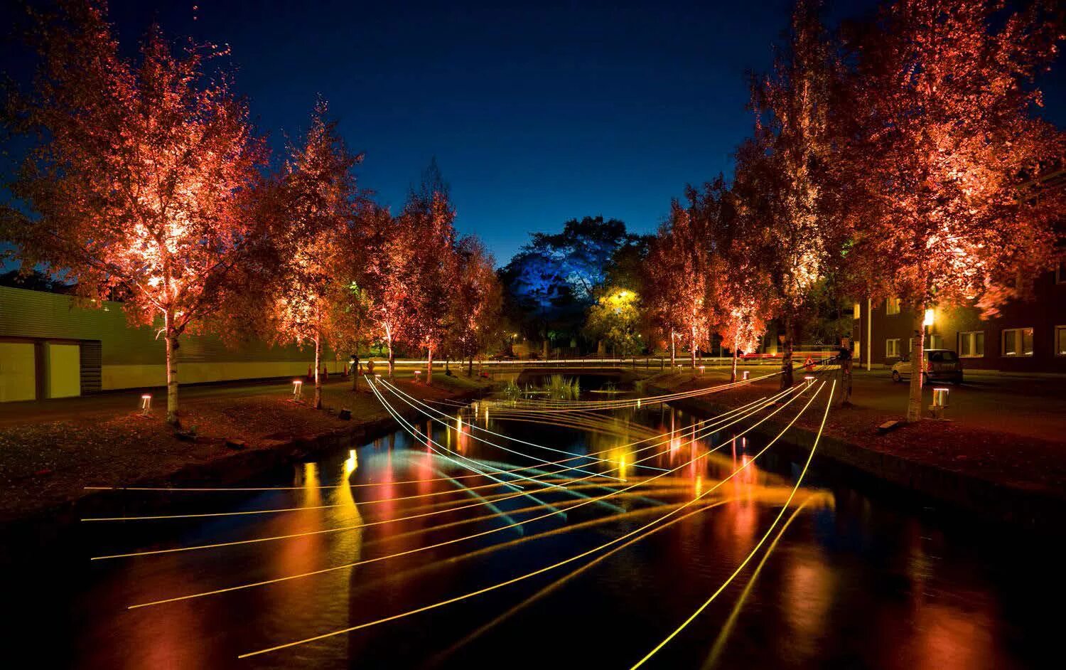 Interactive light. Освещение парков. Красивое освещение в парке. Освещение сквера. Подсветка деревьев.