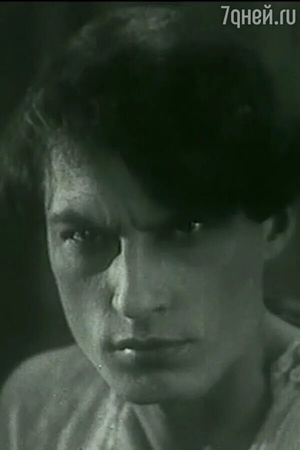 Абрикосов тихий дон. Абрикосов тихий дон. Андреем абрикосовым. Андреем абрикосовым. Андреем абрикосовым.