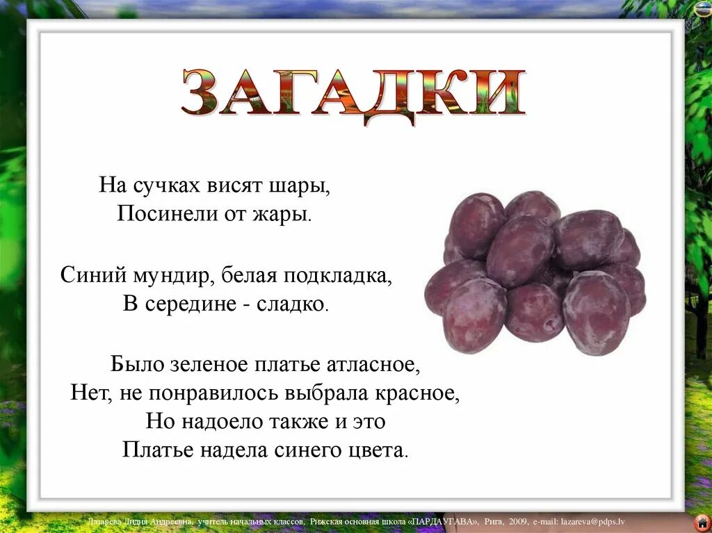 Висят шары посинели от жары. Загадка про виноград. Инжир загадка для детей. Загадка про виноград для дошкольников. Загадка про финики для детей.