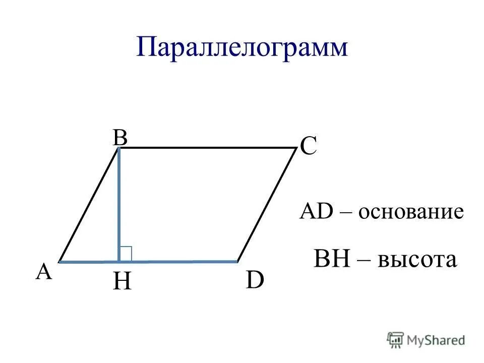 Почему высоты параллелограмма равны. Параллелограмм. основание и высота параллелограмма. параллелограмм чертеж. plosad parallelogramma.