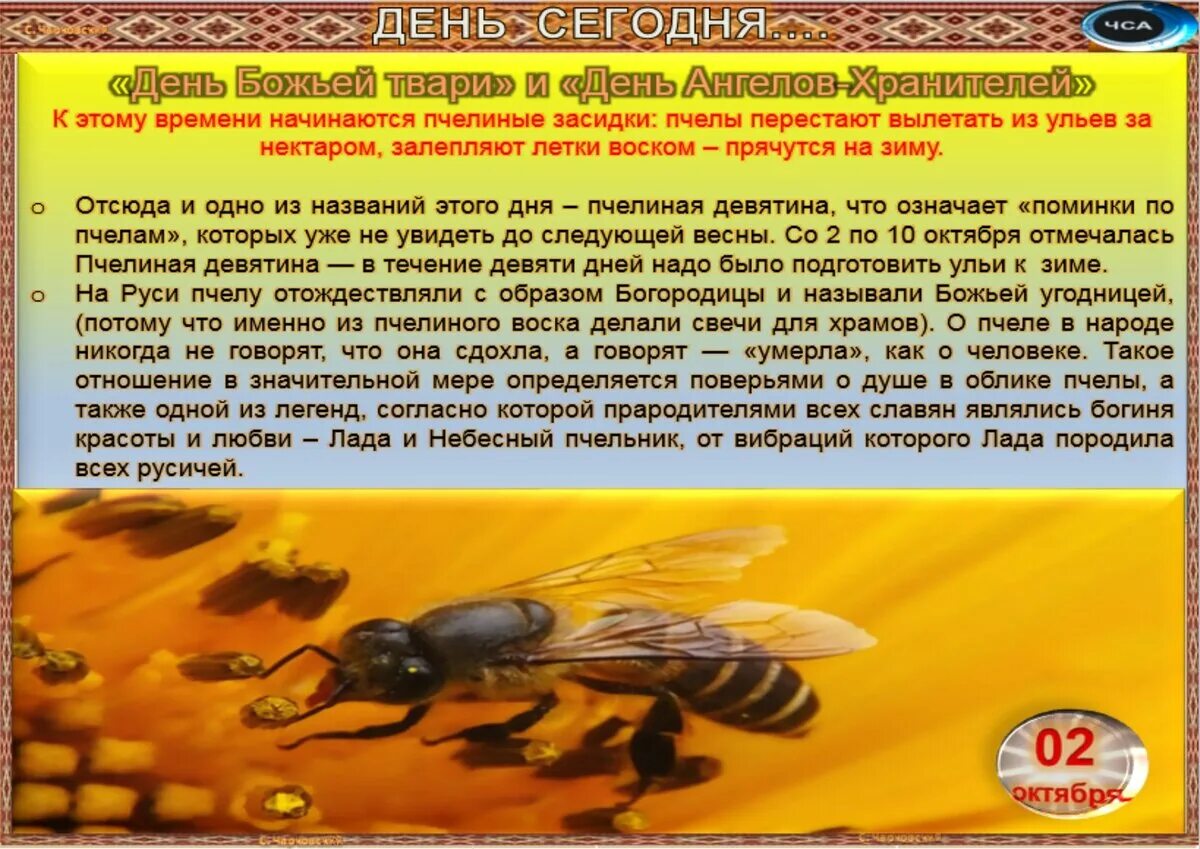 Народные приметы октября для детей. Народный календарь 2 октября трофим и зосима. Народный календарь 2 октября трофим и зосима. Трофим и зосима 2 октября. 2 октября по примете.