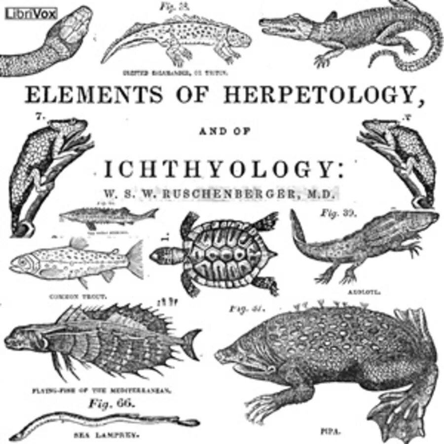 Герпетология. Ихтиология книга. Ichthyology & herpetology. Герпетология это наука. Герпетология 2 гельминтология 3 ихтиология 4 энтомология