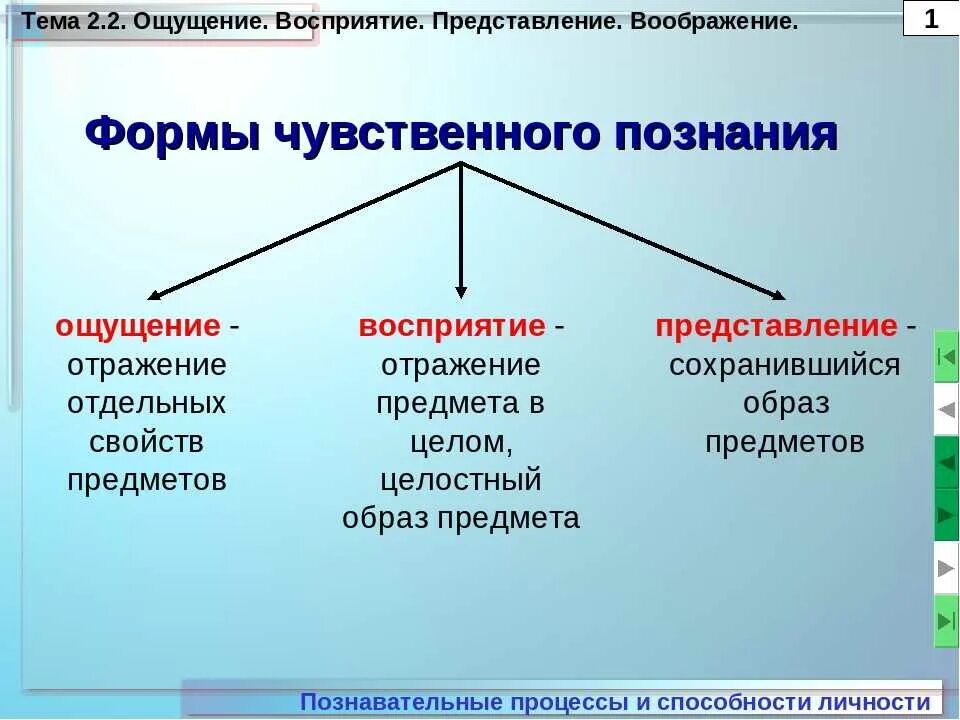 Объект чувственного познания. Ощущение восприятие представление. Восприятие это в обществознании. Ощущение восприятие представление это формы. Представление это форма чувственного познания.