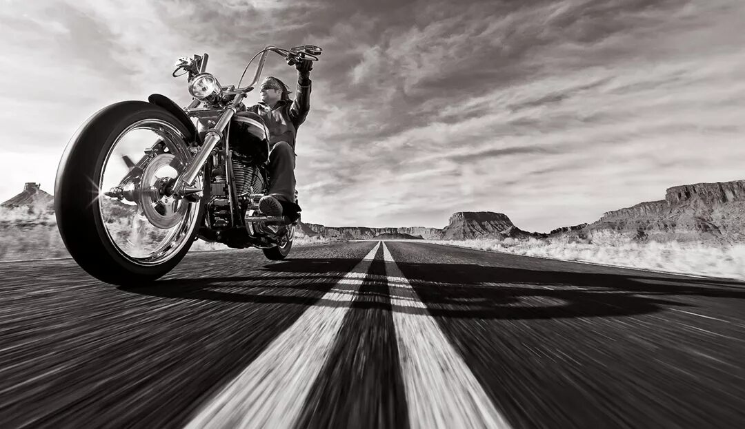 харлей цитаты