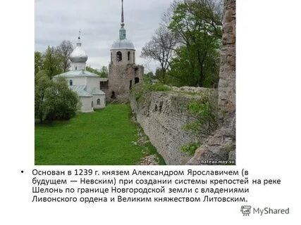 Недель порхов