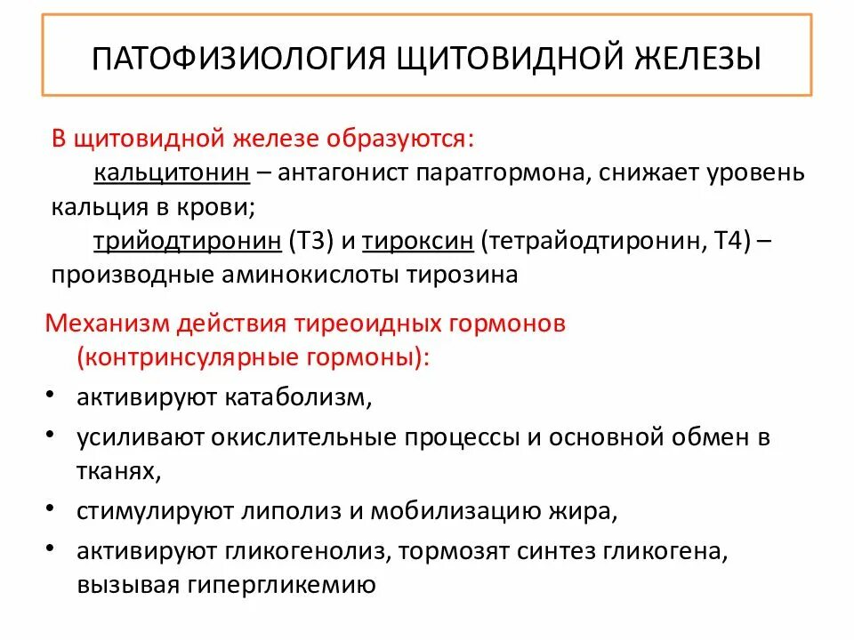 Гиперфункция и гипофункция поджелудочной железы. Гипофункция щитовидной железы патофизиология. тиреотоксикоз патогенез патфиз. нарушения функции щитовидной железы этиология. гиперфункция щитовидной железы патофизиология.
