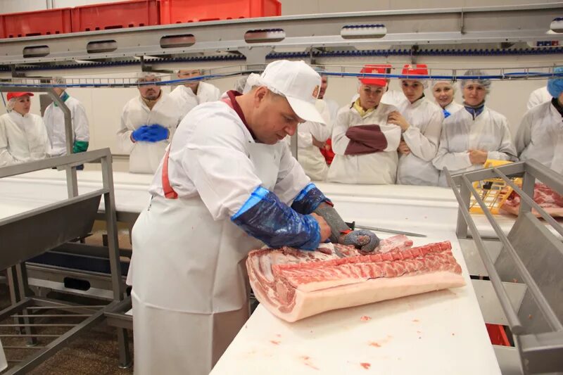 Гродненский мясокомбинат вакансии. Гродно мясокомбинат. Гродненский мясокомбинат вакансии. Гродненский мясокомбинат логотип. Гродненский мясокомбинат вакансии.