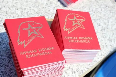 Юнармейская книжка