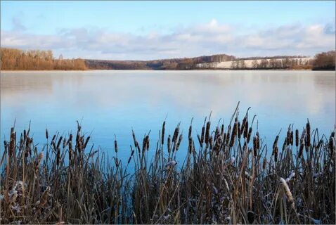Пронское водохранилище