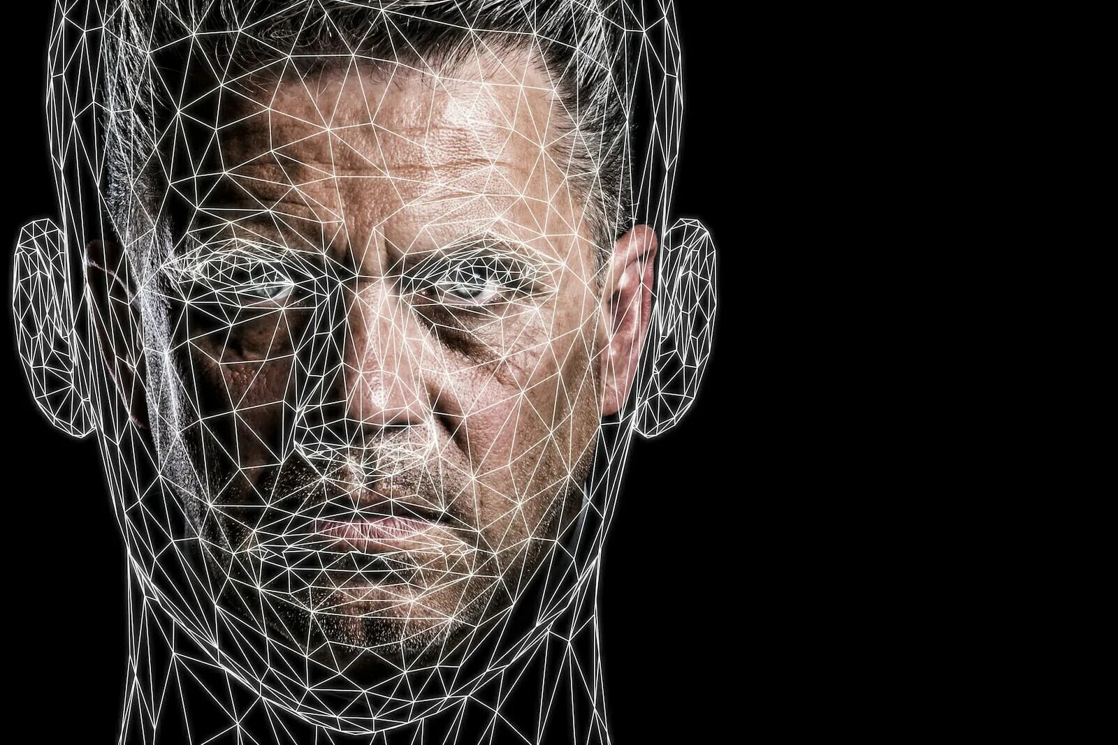 Face recognition model
