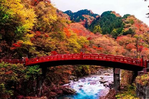 Injapan