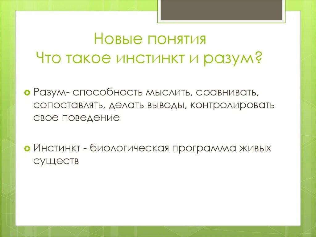 Понятие инстинкт. Определение понятия инстинкты. 4. Что такое инстинкт?. Примеры инстинктов у человека.