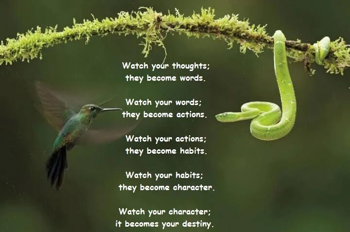 Your thoughts перевод